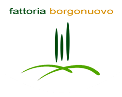 Fattoria Borgonuovo - Cortona logo